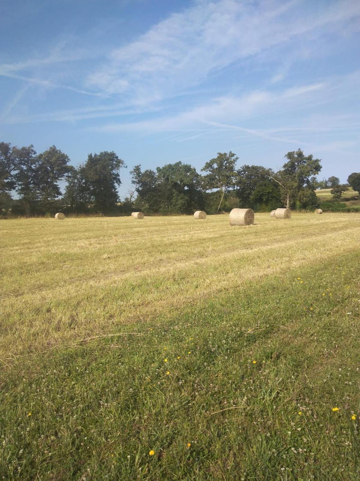 Gite Les Genets Le Vigeant Exterior foto
